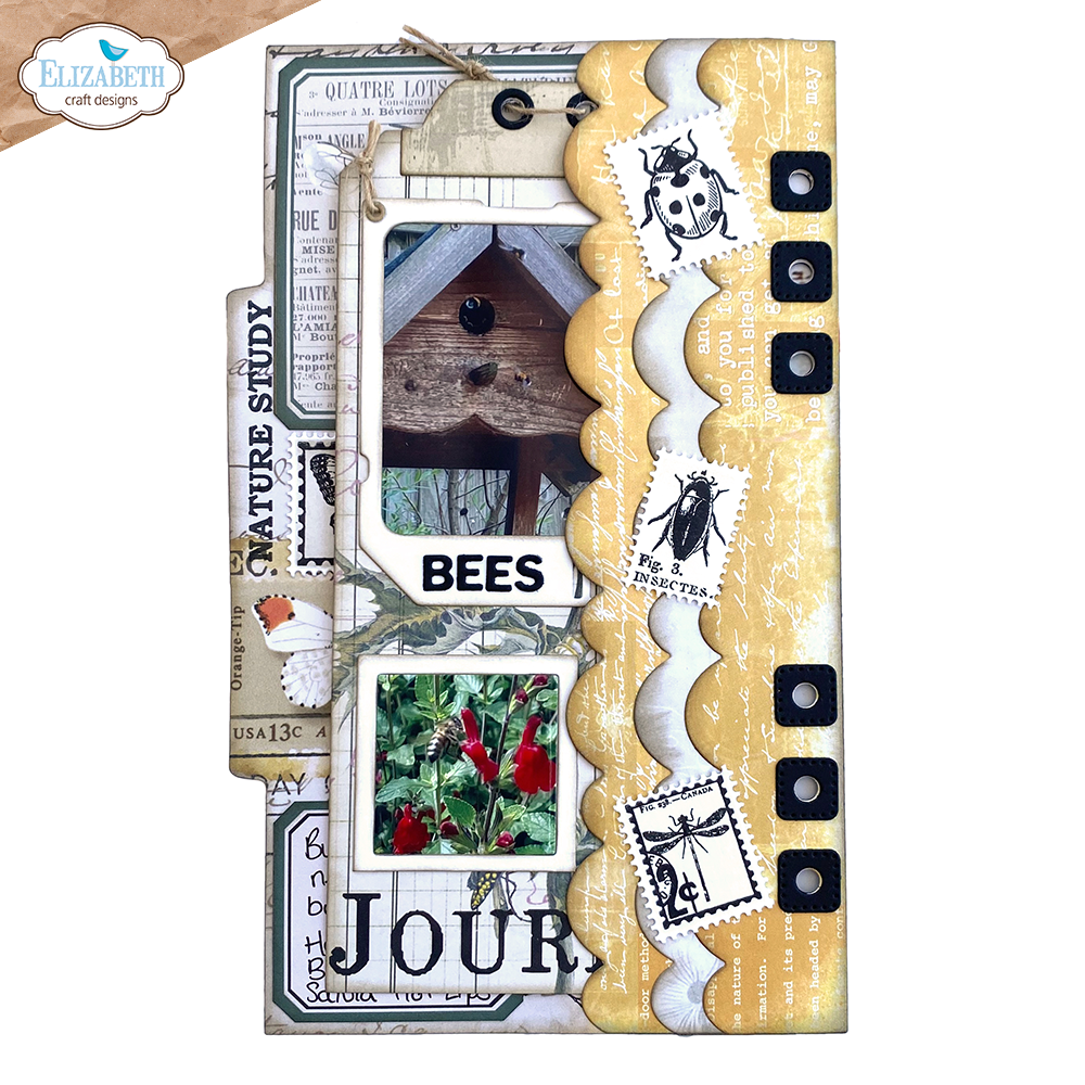 Elizabeth Craft Designs Botanical Blend Dies Page with Large Tab 2 (2281)