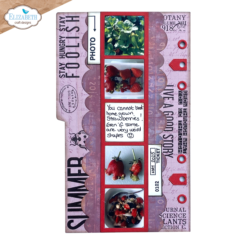 Elizabeth Craft Designs Botanical Blend Dies Photoframe Inlay (2282)