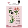 Vaessen Creative Clear Stamps Joy To All (3625-0124) Vaessen Creative Clear Stamps Joy To All (3625-0124)
