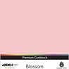 Arden Creative Studio Premium Cardstock A4 Blossom (ACSCP0025) Arden Creative Studio Premium Cardstock A4 Blossom (ACSCP0025)