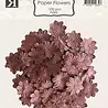 Reprint PRE-ORDER Paper Flowers Burgundy (FL003) Reprint PRE-ORDER Paper Flowers Burgundy (FL003)