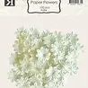 Reprint PRE-ORDER Paper Flowers White (FL004) Reprint PRE-ORDER Paper Flowers White (FL004)