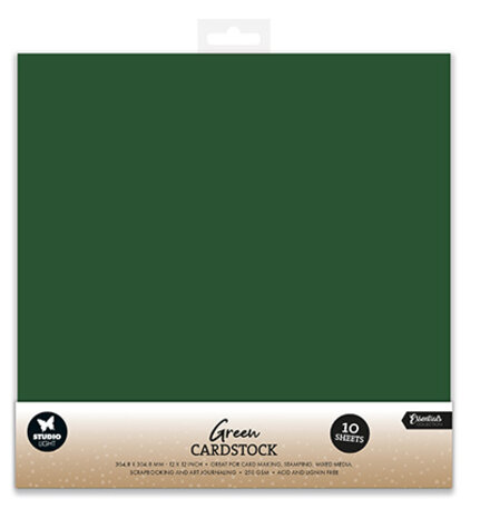 Studio Light Cardstock 12x12 Inch Christmas Green (10pcs) (SL-CO-PS61) Studio Light Cardstock 12x12 Inch Christmas Green (10pcs) (SL-CO-PS61)