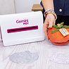 Crafter's Companion Intricate Pumpkin Season Dies (CC-MD-IPSE) Crafter's Companion Intricate Pumpkin Season Dies (CC-MD-IPSE)