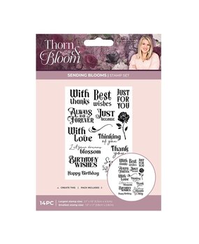 Crafter's Companion PRE-ORDER Thorn & Bloom Clear Stamps Sending Blooms (SS-TB-CA-ST-SEBL) Crafter's Companion PRE-ORDER Thorn & Bloom Clear Stamps Sending Blooms (SS-TB-CA-ST-SEBL)