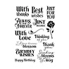 Crafter's Companion Thorn & Bloom Clear Stamps Sending Blooms (SS-TB-CA-ST-SEBL) Crafter's Companion Thorn & Bloom Clear Stamps Sending Blooms (SS-TB-CA-ST-SEBL)