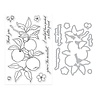 Hero Arts I Pick You Apple Branch Stamps & Dies (DC330) Hero Arts I Pick You Apple Branch Stamps & Dies (DC330)