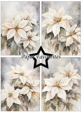Paper Favourites Poinsettia A6 Paper Pad (PFA595) Paper Favourites Poinsettia A6 Paper Pad (PFA595)