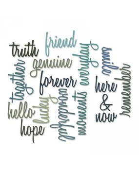 Sizzix Thinlits Alterations Friendship Words Script (660225)