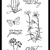 Arden Creative Studio Laurel Grove Grove Notes 4x8 Inch Clear Stamp Set (ACSCS0015) Arden Creative Studio Laurel Grove Grove Notes 4x8 Inch Clear Stamp Set (ACSCS0015)