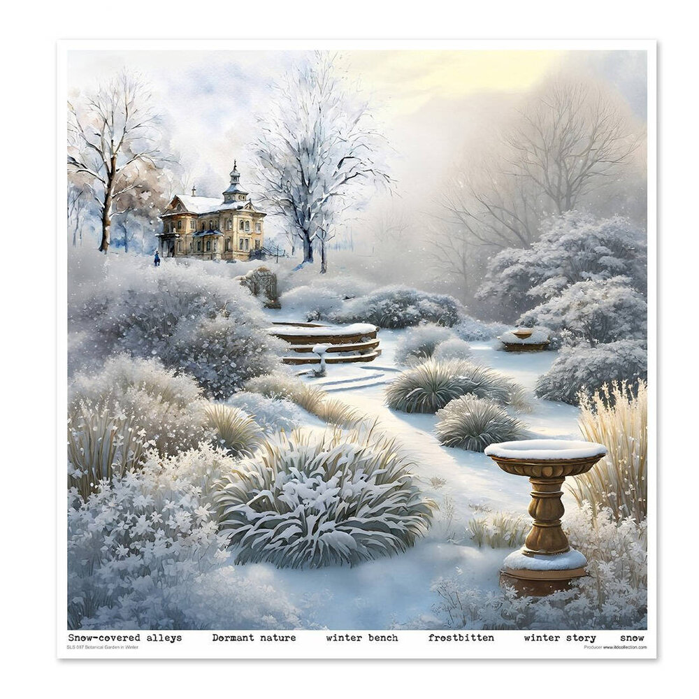 ITD Collection Botanical Garden in Winter 12x12 Inch Paper Pad (SLS 087) ITD Collection Botanical Garden in Winter 12x12 Inch Paper Pad (SLS 087)