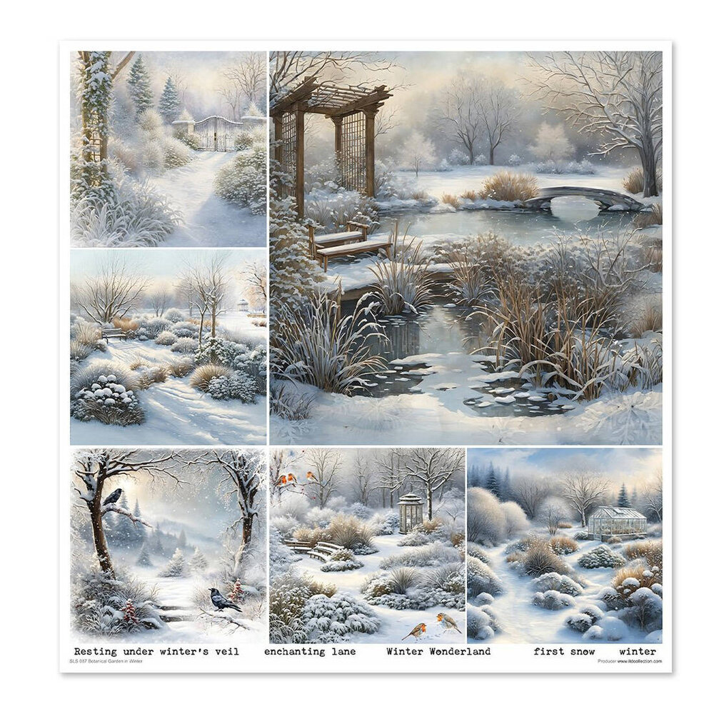 ITD Collection Botanical Garden in Winter 12x12 Inch Paper Pad (SLS 087) ITD Collection Botanical Garden in Winter 12x12 Inch Paper Pad (SLS 087)