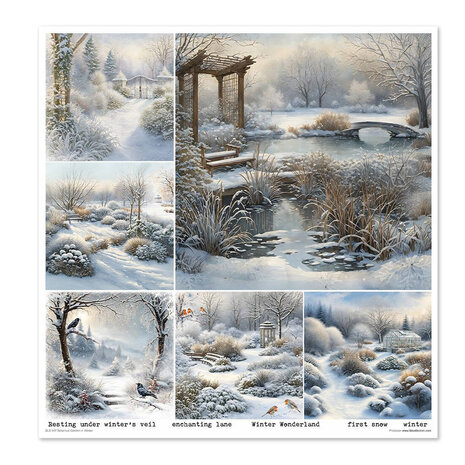 ITD Collection Botanical Garden in Winter 12x12 Inch Paper Pad (SLS 087) ITD Collection Botanical Garden in Winter 12x12 Inch Paper Pad (SLS 087)