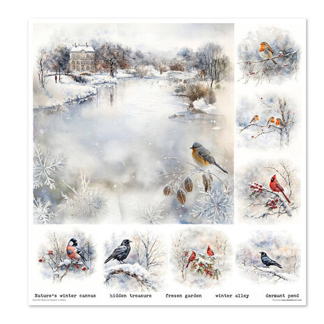 ITD Collection Botanical Garden in Winter 12x12 Inch Paper Pad (SLS 087) ITD Collection Botanical Garden in Winter 12x12 Inch Paper Pad (SLS 087)