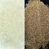 Simon Hurley Create PRE-ORDER Astro Paste Phoenix Feather (HUA89810) Simon Hurley Create PRE-ORDER Astro Paste Phoenix Feather (HUA89810)