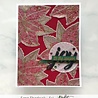 Picket Fence Studios A Christmas Flower 4x4 Inch Clear Stamps (C-119) (OUTLET) Picket Fence Studios A Christmas Flower 4x4 Inch Clear Stamps (C-119) (OUTLET)