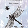 IndigoBlu Giant Dragonfly A6 Rubber Stamps (IND0417) (OUTLET) IndigoBlu Giant Dragonfly A6 Rubber Stamps (IND0417) (OUTLET)