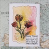 IndigoBlu Trio of Tulips A6 Rubber Stamps (IND1272) (OUTLET) IndigoBlu Trio of Tulips A6 Rubber Stamps (IND1272) (OUTLET)