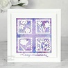 Creative Expressions Sue Wilson Craft Die Squares Collection Square Aperture (CED2501) (OUTLET) Creative Expressions Sue Wilson Craft Die Squares Collection Square Aperture (CED2501) (OUTLET)