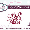 Creative Expressions Sue Wilson Craft Die Mini Expressions I Miss You So Much (CEDME117) (OUTLET) Creative Expressions Sue Wilson Craft Die Mini Expressions I Miss You So Much (CEDME117) (OUTLET)