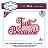Creative Expressions Sue Wilson Craft Die Noble Shadowed Sentiment Just Because (CEDNE011) (OUTLET) Creative Expressions Sue Wilson Craft Die Noble Shadowed Sentiment Just Because (CEDNE011) (OUTLET)