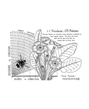 Crafty Individuals Primrose (17) Unmounted Rubber Stamps (CI-621) (OUTLET) Crafty Individuals Primrose (17) Unmounted Rubber Stamps (CI-621) (OUTLET)