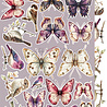 Craft O'Clock PRE-ORDER Plum & Caramel Extras Set Flowers (CC-C80-PC-11) Craft O'Clock PRE-ORDER Plum & Caramel Extras Set Flowers (CC-C80-PC-11)