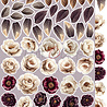 Craft O'Clock PRE-ORDER Plum & Caramel Extras Set Flowers (CC-C80-PC-11) Craft O'Clock PRE-ORDER Plum & Caramel Extras Set Flowers (CC-C80-PC-11)