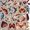Craft O'Clock PRE-ORDER Timeless Grace Extras Set Flowers & More (CC-C81-TG-11) Craft O'Clock PRE-ORDER Timeless Grace Extras Set Flowers & More (CC-C81-TG-11)