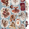 Craft O'Clock PRE-ORDER Timeless Grace Extras Set Timeless (CC-C81-TG-12) Craft O'Clock PRE-ORDER Timeless Grace Extras Set Timeless (CC-C81-TG-12)