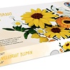 Ursus Chenilledraad Bloemen Set Geel (27040001) Ursus Chenilledraad Bloemen Set Geel (27040001)