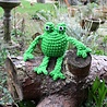 Hello Crafts Cheeky Chums Froggy Haakset (KC853) Hello Crafts Cheeky Chums Froggy Haakset (KC853)
