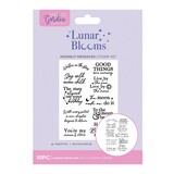 Crafter's Companion PRE-ORDER Lunar Blooms Clear Stamps Moonlit Messages (NG-LB-CA-ST-MOLIT)