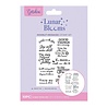 Crafter's Companion PRE-ORDER Lunar Blooms Clear Stamps Moonlit Messages (NG-LB-CA-ST-MOLIT) Crafter's Companion PRE-ORDER Lunar Blooms Clear Stamps Moonlit Messages (NG-LB-CA-ST-MOLIT)
