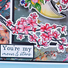 Crafter's Companion PRE-ORDER Lunar Bloom Stamp & Die Cherry Blossom (NG-LB-STD-CHER) Crafter's Companion PRE-ORDER Lunar Bloom Stamp & Die Cherry Blossom (NG-LB-STD-CHER)