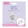 Crafter's Companion PRE-ORDER Lunar Bloom Stamp & Die Moon Bloom (NG-LB-STD-MBLO) Crafter's Companion PRE-ORDER Lunar Bloom Stamp & Die Moon Bloom (NG-LB-STD-MBLO)