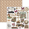 Ciao Bella Papercrafting PRE-ORDER Book Lovers 12x12 Inch Paper Pad (CBPM091) Ciao Bella Papercrafting PRE-ORDER Book Lovers 12x12 Inch Paper Pad (CBPM091)