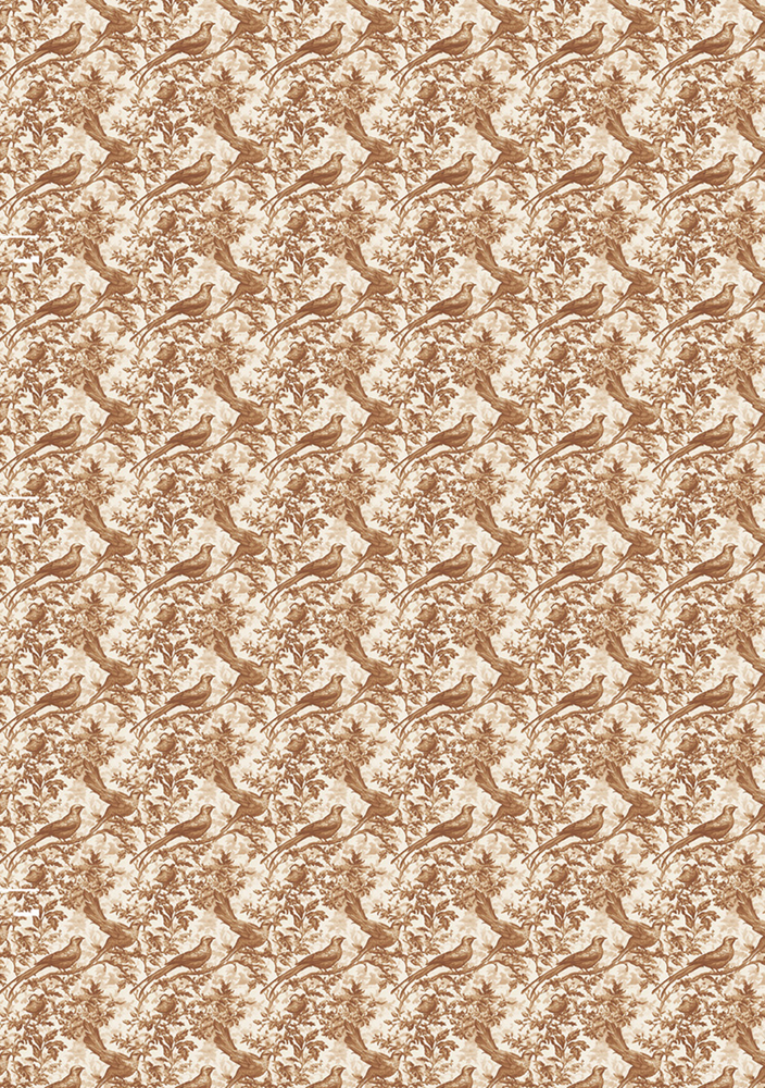 Ciao Bella Papercrafting Book Lovers A5 Mixed Rice Papers (CBRS026)