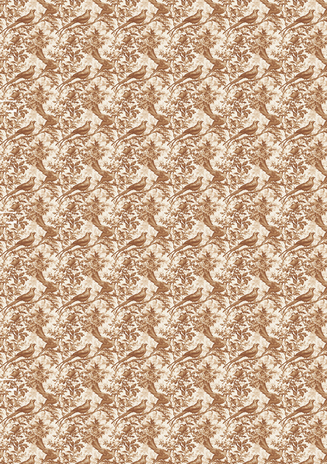 Ciao Bella Papercrafting Book Lovers A5 Mixed Rice Papers (CBRS026)