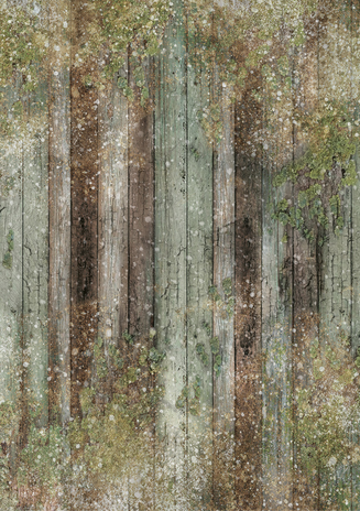 Ciao Bella Papercrafting Fairy Whispers A5 Mixed Rice Papers (CBRS030) Ciao Bella Papercrafting Fairy Whispers A5 Mixed Rice Papers (CBRS030)