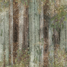 Ciao Bella Papercrafting PRE-ORDER Fairy Whispers A5 Mixed Rice Papers (CBRS030) Ciao Bella Papercrafting PRE-ORDER Fairy Whispers A5 Mixed Rice Papers (CBRS030)