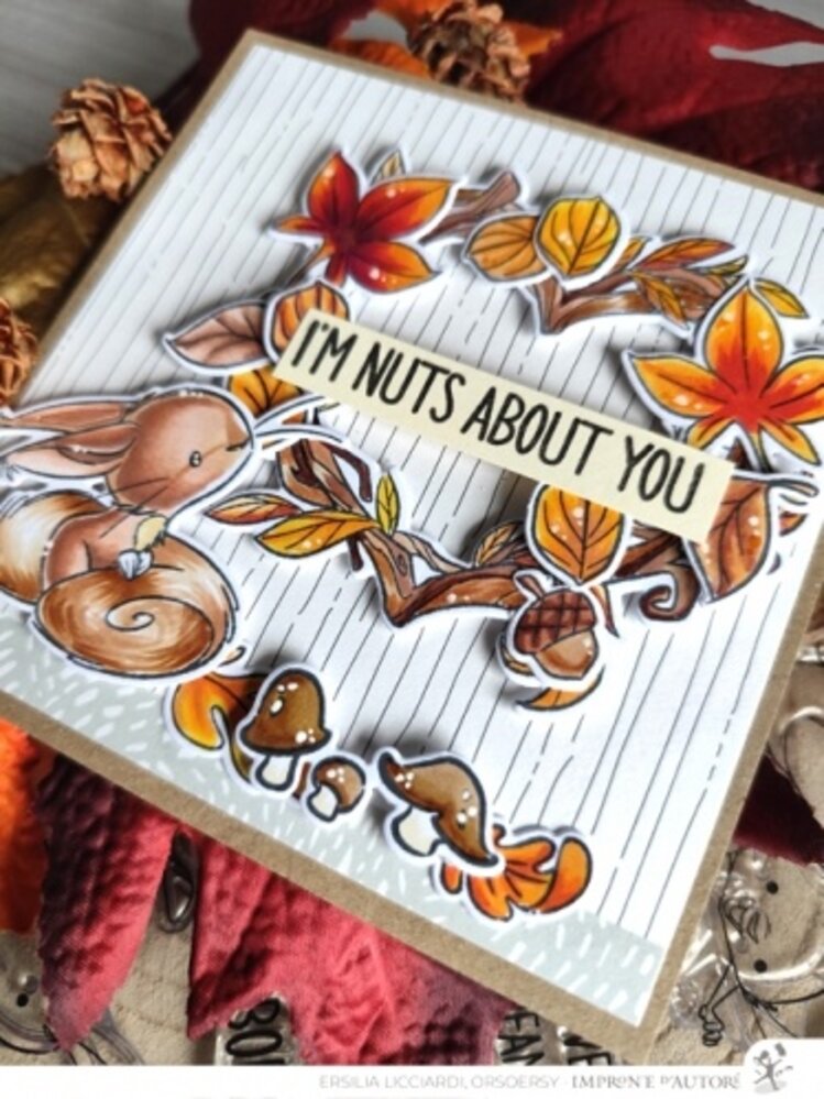 Impronte d'Autore Nutty Explorers Clear Stamp (2655-CLEM-E) Impronte d'Autore Nutty Explorers Clear Stamp (2655-CLEM-E)