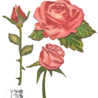 Elizabeth Craft Designs Romantic Revival Dies Layered Roses (2298) Elizabeth Craft Designs Romantic Revival Dies Layered Roses (2298)