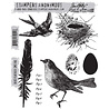 Stampers Anonymous Cling Stamps Bird Feather (CMS180) Stampers Anonymous Cling Stamps Bird Feather (CMS180)