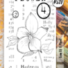 AALL and Create Clear Stamp Set Border Gem Of A Plant (AALL-TP-539)