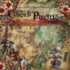 Cursed Pirates Cut Outs 8x8 Inch Collection Pack (BLC-0066/R) Cursed Pirates Cut Outs 8x8 Inch Collection Pack (BLC-0066/R)