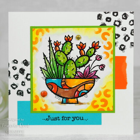 Woodware Succulent Display Clear Stamp (FRS092) (OUTLET) Woodware Succulent Display Clear Stamp (FRS092) (OUTLET)