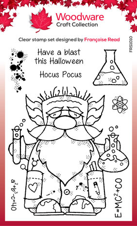 Woodware Professor Gnome Clear Stamps (FRS1010) (OUTLET)