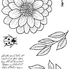 Woodware Ditsy Daisy Clear Stamps (JGS827) (OUTLET) Woodware Ditsy Daisy Clear Stamps (JGS827) (OUTLET)