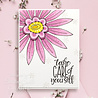 Woodware Petal Doodles Take Care Clear Stamps (JGS861) (OUTLET)